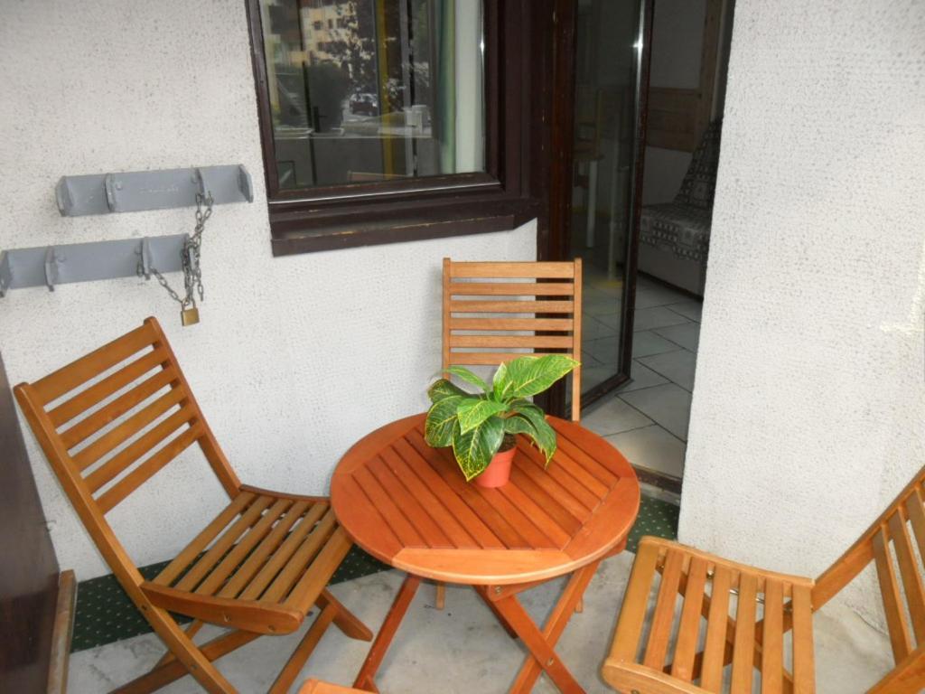 Appartement T2 Chamonix Centre Balcon Vue Mont Blanc Exteriör bild