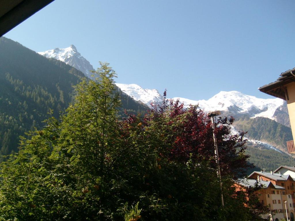 Appartement T2 Chamonix Centre Balcon Vue Mont Blanc Exteriör bild