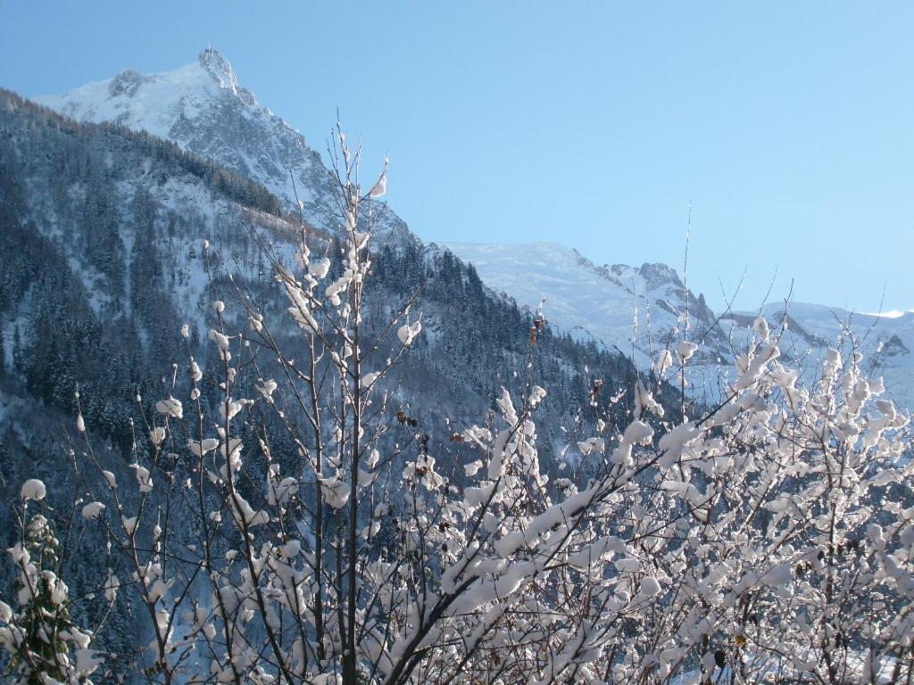 Appartement T2 Chamonix Centre Balcon Vue Mont Blanc Exteriör bild